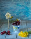 Bucket with cherries, a small bunch of yellow wildflowers and a decorative birdhouse on a blue background Royalty Free Stock Photo