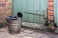Bucket with coal in backyard Royalty Free Stock Photo