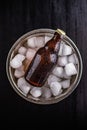 Bucket Filled With Ice and one Bottles of Beer Royalty Free Stock Photo