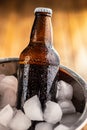 Bucket Filled With Ice and one Bottles of Beer Royalty Free Stock Photo