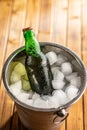 Bucket Filled With Ice and one Bottles of Beer Royalty Free Stock Photo