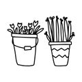 A bucket of flowers, a pot of plants in hand drawn doodle style isolated on white background. Vector outline stock