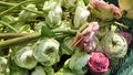 Bucket of folded petal sacred lotus Royalty Free Stock Photo