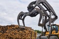 Bucket a forestry grapple loader against the background of a stack of logs outdoors Royalty Free Stock Photo