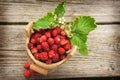 Bucket of fresh strawberries white background. Royalty Free Stock Photo