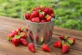 Bucket of freshly picked strawberries in summer garden. Ripe juicy strawberries in a small metal bucket on wooden table Royalty Free Stock Photo