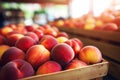 Bucket full of fresh peach fruits at market