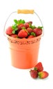 Bucket full of fresh strawberries