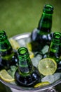 Bucket full of ice cubes with opened beer bottles and lemon slices on green grass Royalty Free Stock Photo