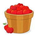 Bucket Full of Red Apples Royalty Free Stock Photo