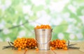 Bucket full of sea buckthorn berries, branches with berries and