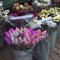 bucket with gilded cinnamon and cones for sale on the flower market.