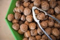 Bucket of Greek Walnuts and Nutcracker Royalty Free Stock Photo