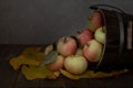 Bucket of honey crisp apples turned over Royalty Free Stock Photo