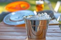 bucket with ice and beer on a picnic table, frisbee in background Royalty Free Stock Photo