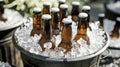 A bucket of ice cold craft beers nestled in a bed of ice ready to be enjoyed on a sunny picnic day Royalty Free Stock Photo