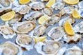 A bucket of ice filled with oysters.