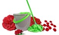 Bucket mop aroma flowers roses and petals