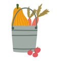 Bucket with pumpkin carrots and fruits harvest fresh isolated design