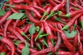 Red hot chili peppers Royalty Free Stock Photo