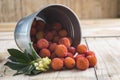 Bucket with ripe arbutus unedo fruits