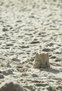 bucket sand cake made on beach sand on holiday Royalty Free Stock Photo