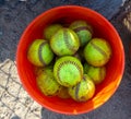 A Bucket Of Softballs