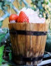 Bucket of strawberries with crushed ice Royalty Free Stock Photo