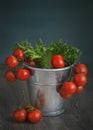 Bucket with tomatoes
