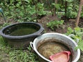 Bucket of water make mosquito lavae Royalty Free Stock Photo