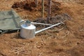 A bucket for watering plants placed in the ground. Planting ideas.