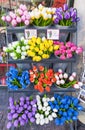 Buckets of colorful tulips in Amsterdam