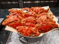 Buckets of neatly stacked, tasty boiled crabs.