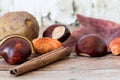 Buckeye Chestnuts, fresh conkers in shell, leave and cinnamon stick on wood