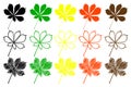 Buckeye leaf color set