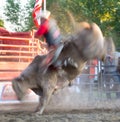 Bucking Blur Action