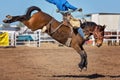 Bucking Bronc Horse At Country Rodeo Royalty Free Stock Photo