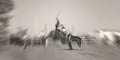 Bucking Bronco Horse At Country Rodeo