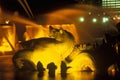 Buckingham Fountain in Grant Park at night, Chicago, Illinois Royalty Free Stock Photo