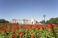 Buckingham Palace With Flowers In Foreground Royalty Free Stock Photo