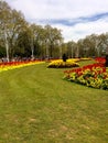 Buckingham Palace gardens Royalty Free Stock Photo