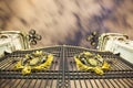 Buckingham Palace Gates at night Royalty Free Stock Photo
