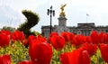 Buckingham Palace Royalty Free Stock Photo