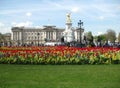 Buckingham Palace, London - Stock Image Royalty Free Stock Photo