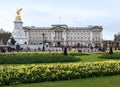 Buckingham Palace in spring Royalty Free Stock Photo