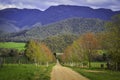 Buckland Valley Bright Victoria Australia