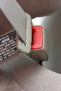 Buckled Seat Belt Royalty Free Stock Photo
