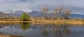 Buckley ponds in Owens valley in Eastern Sierra mountains