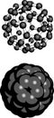 Buckminsterfullerene (buckyball, C60), molecular model