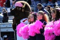 Bucknell Bison cheerleaders